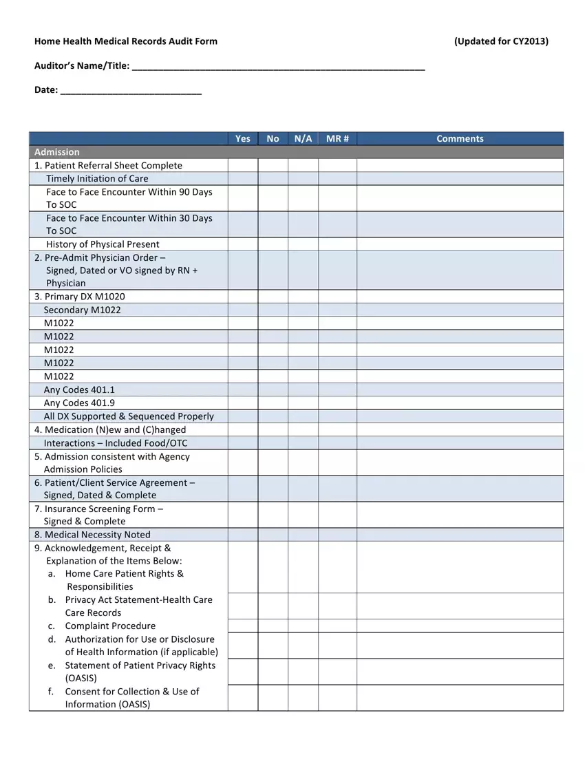 Home Health Audit Form first page preview