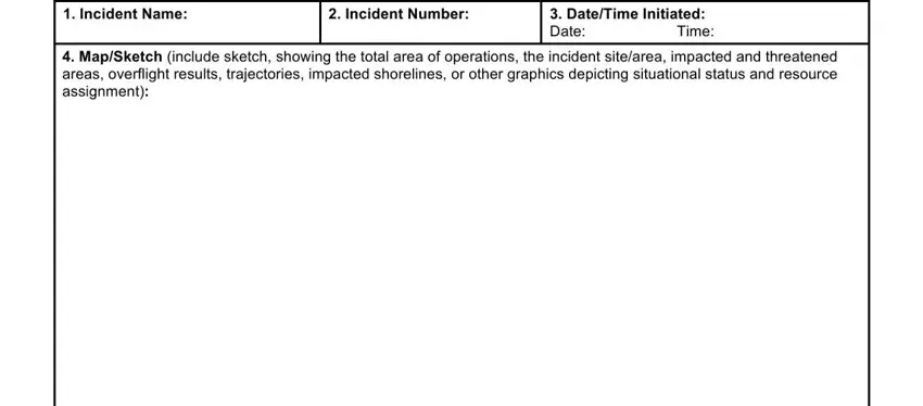 example of fields in incident briefing ics 201