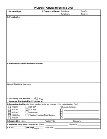 Ics Form 202 Preview