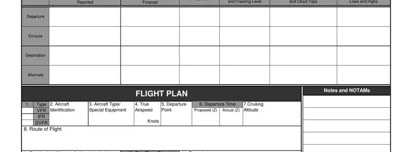 Filling in log flight plan stage 3