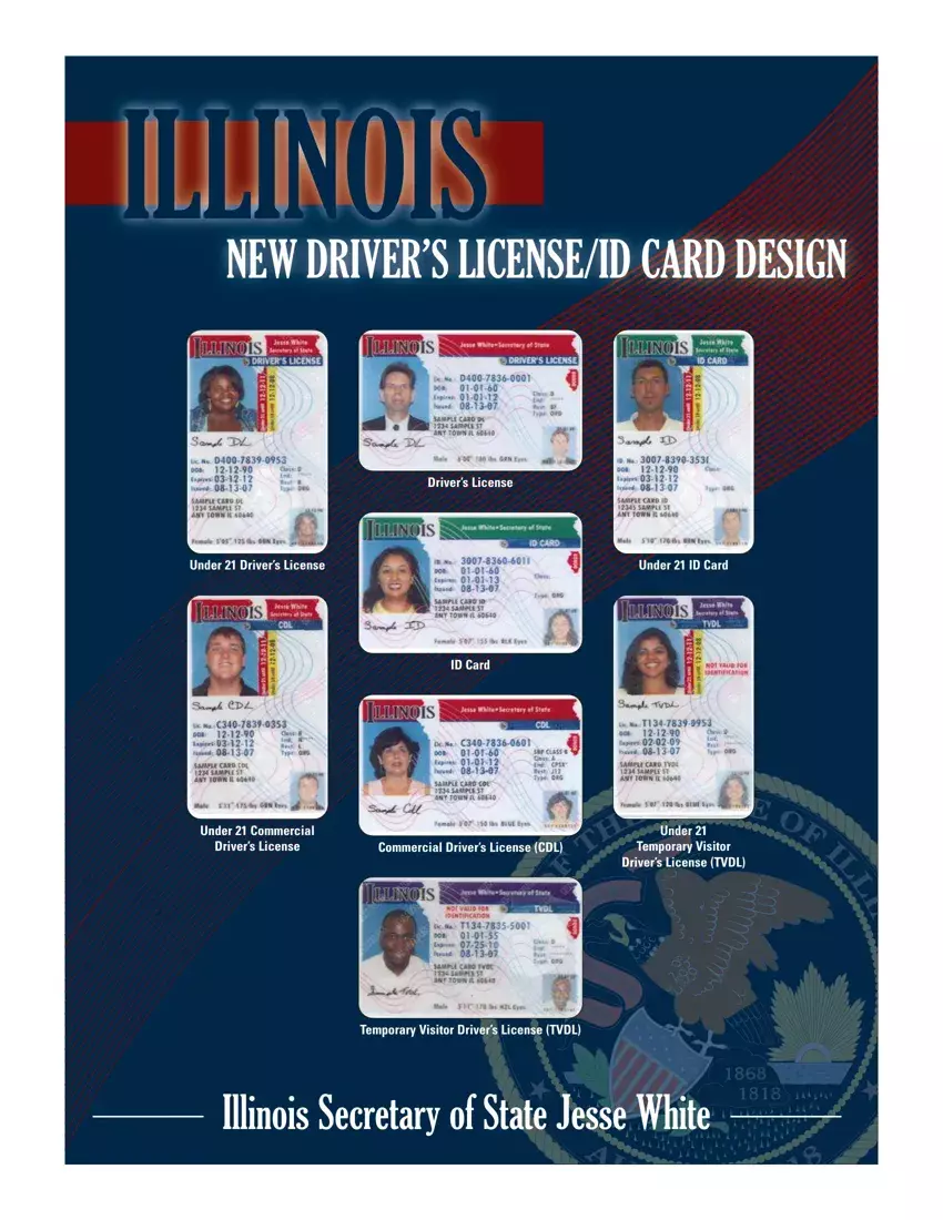 Illinois Drivers License first page preview