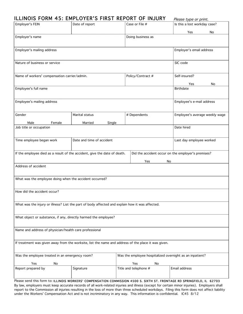 Illinois First Report Form 45 first page preview