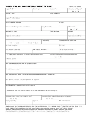 Illinois Form 45 Preview