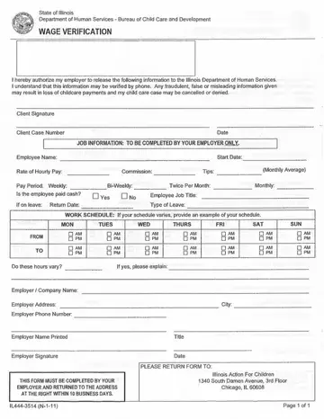 Illinois Wage Verification Form Preview