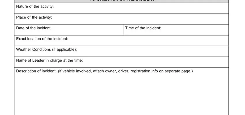 Entering details in blank incident report form part 2