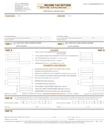 Income Tax Return Form Preview