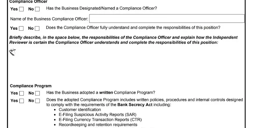 Filling out fincen msb independent review form stage 3