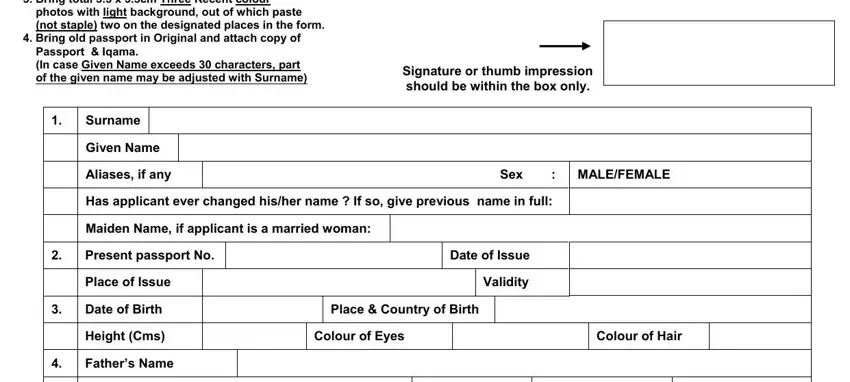 stage 1 to filling out consulate general form