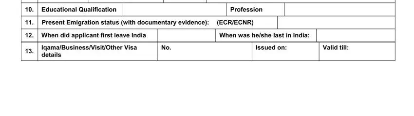 stage 3 to filling out consulate general form