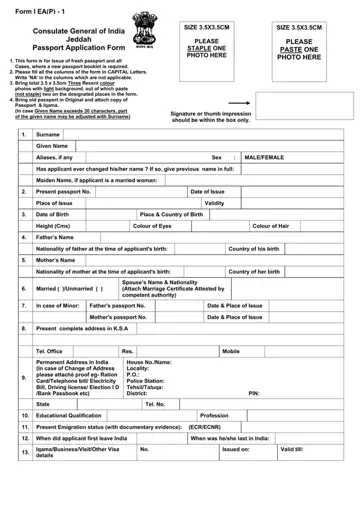 Indian Passport Renewal Form Preview