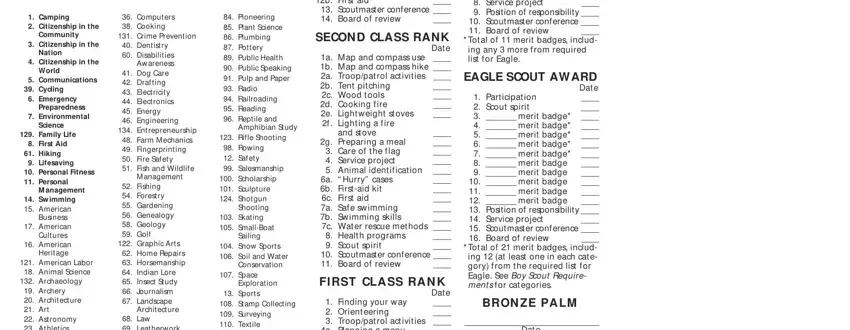 step 5 to entering details in editable boy scout blue card