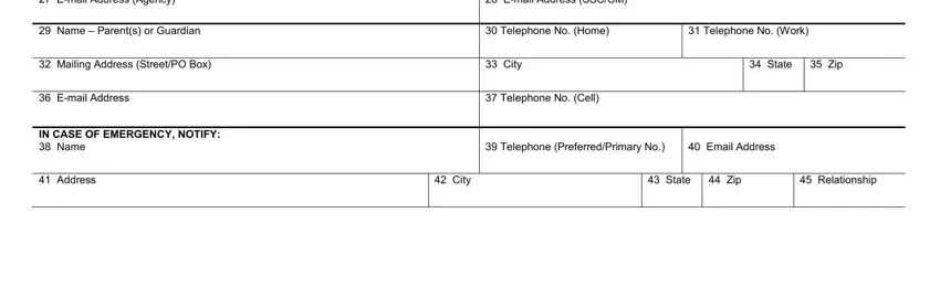 Filling out individual service plan sample stage 2