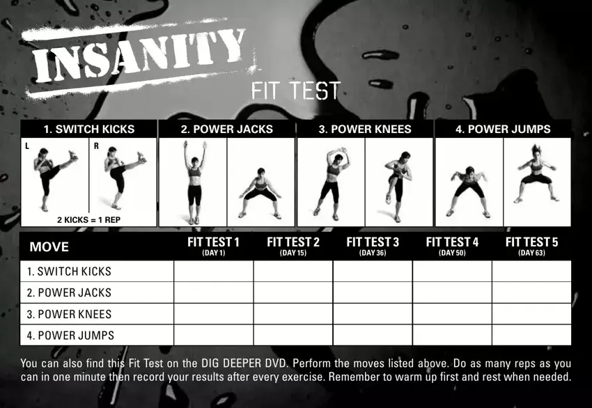 Insanity Fit Test first page preview