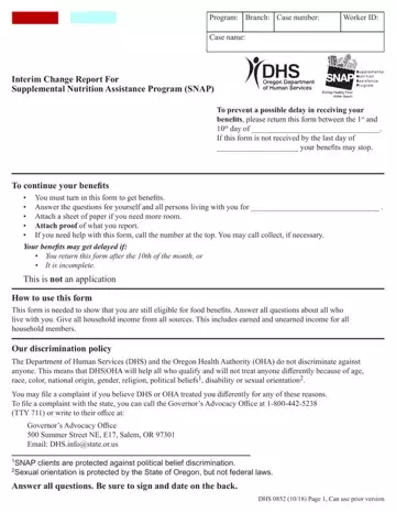 Interim Change Report Form Preview
