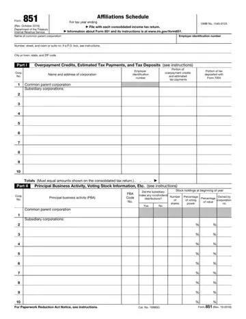 Irs Form 851 Preview