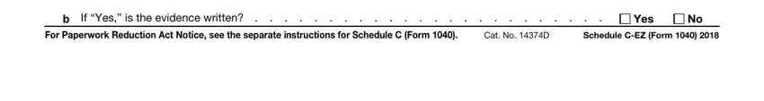 Entering details in schedule c ez stage 3