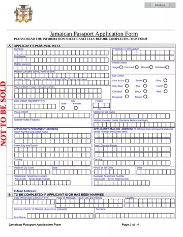 Jamaican Passport Application Form Preview