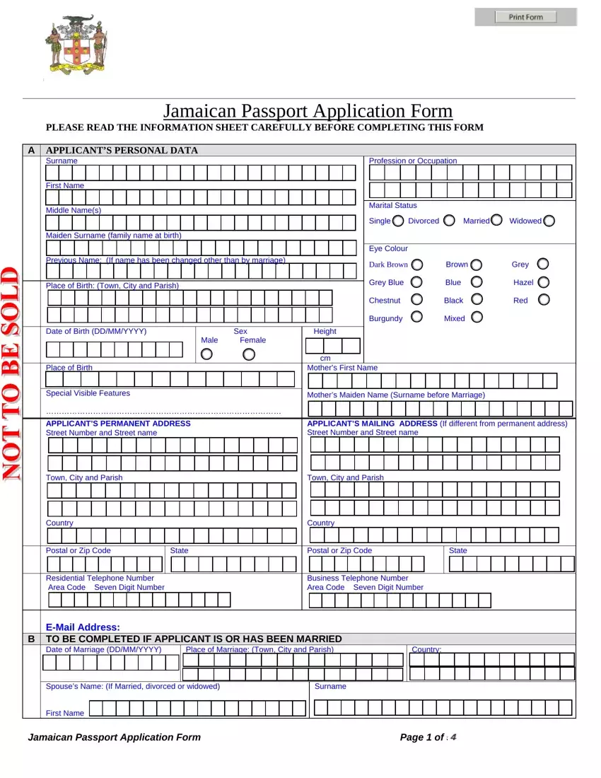 Jamaican Passport Application Form first page preview