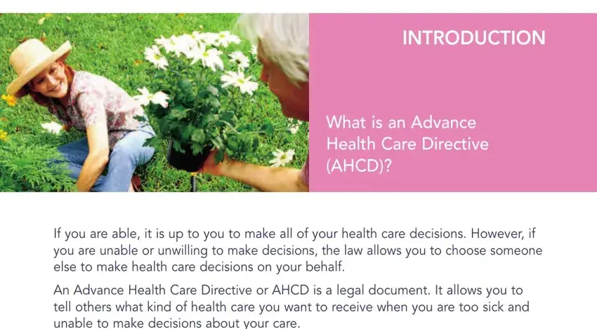 step 3 to entering details in advance health directive kit