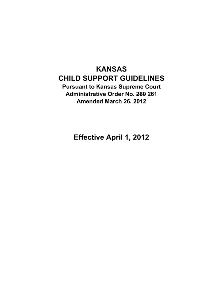 Kansas Child Support first page preview