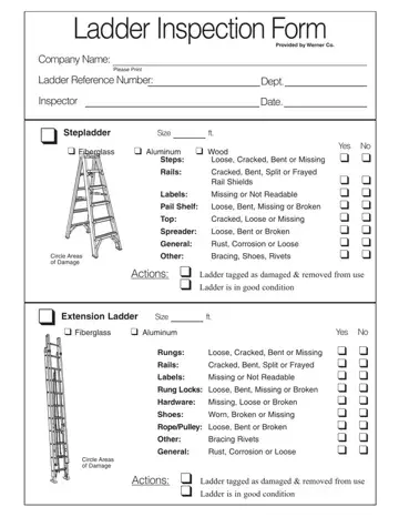 Ladder Inspection Checklist Form Preview