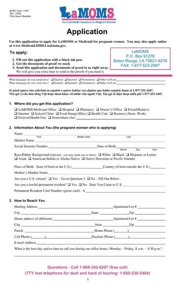Lamoms Medicaid Form Preview