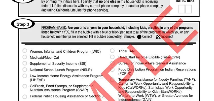 Lifeline Program Renewal Form ≡ Fill Out Printable Pdf Forms Online 7853