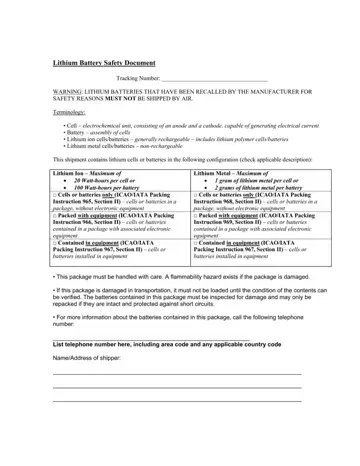 Lithium Battery Document Form Preview