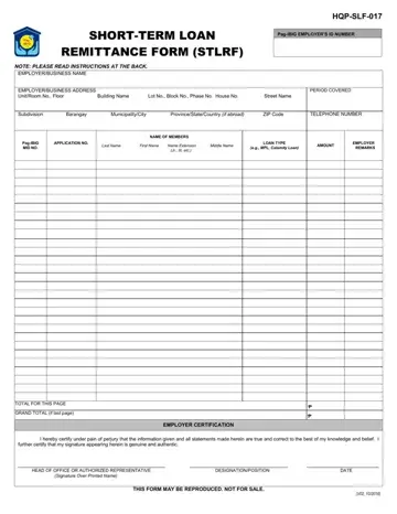 Loan Payment Form Preview