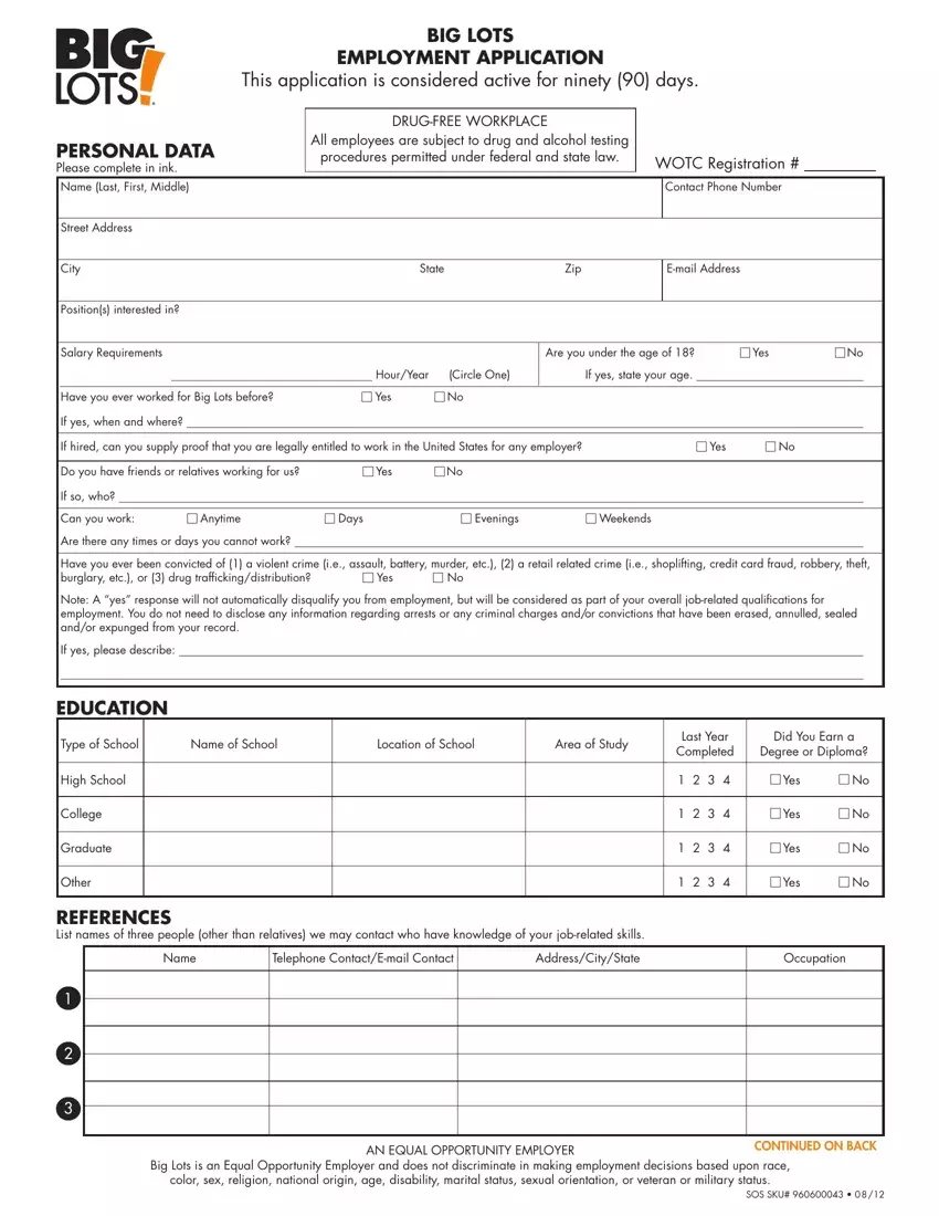 Lots Job Application Form first page preview