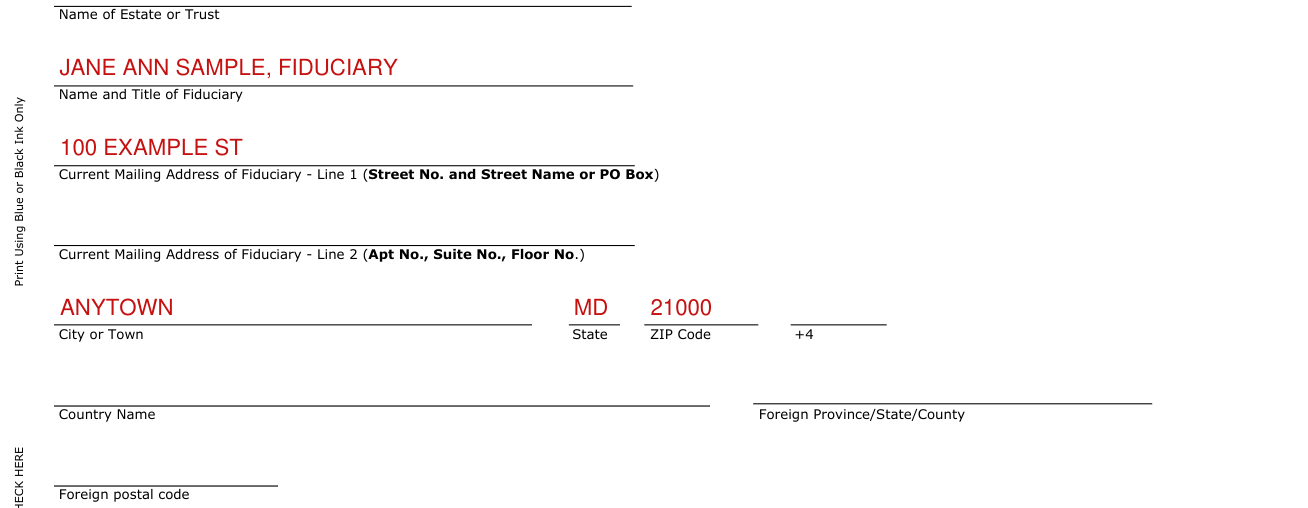 Form 504 example filled out, name and mailing address of the fiduciary