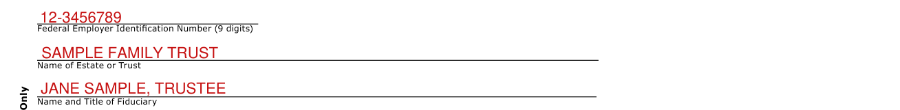 Form 504E example filled out, federal Employer Identification Number, estate or trust and fiduciary