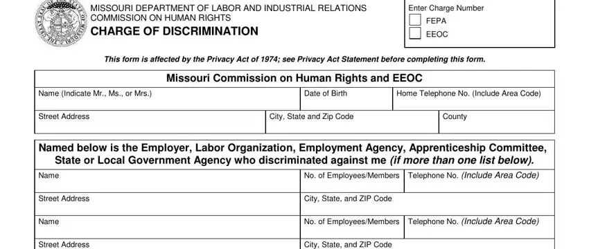stage 1 to filling in EEOC