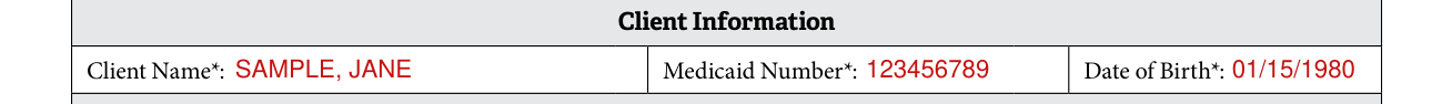 Form F00030 example filled out, client Information