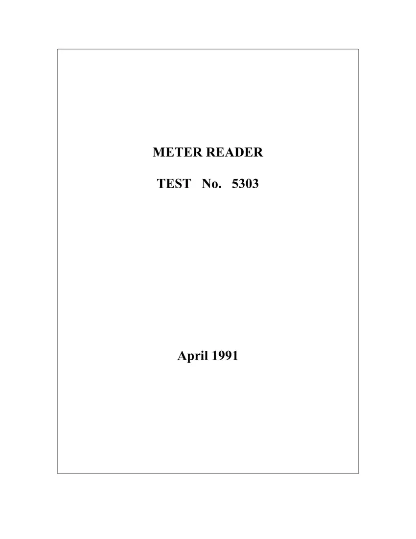 Meter Reader Practice Test first page preview