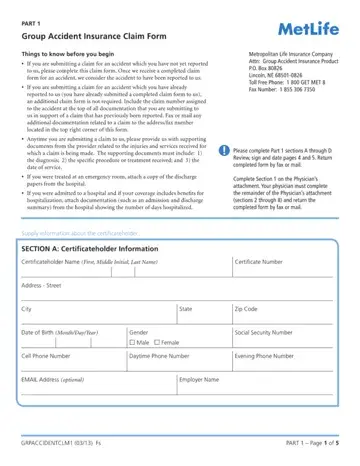 Metlife Accident Form Preview