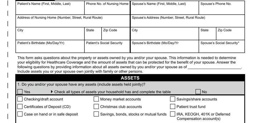 Filling in michigan medicaid application part 2