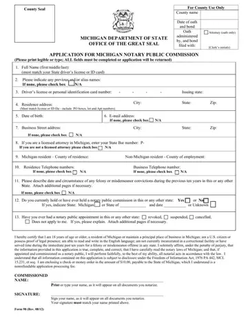 Michigan Form 98 Preview