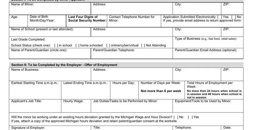  michigan work permit form spaces to fill in