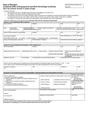 Michigan Form Permit Preview