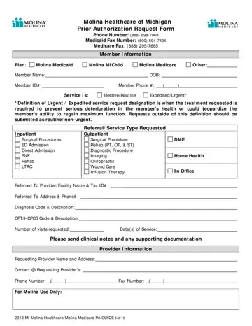 Michigan Molina Prior Authorization Form Preview