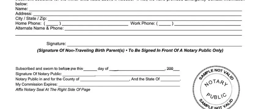 Entering details in minor child consent to travel form step 2