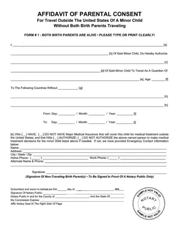 Minor Child Sample Form Preview