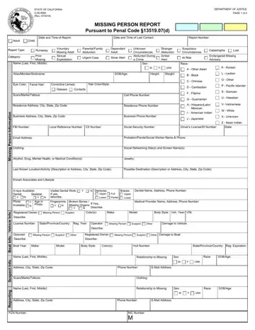 Missing Persons Report Form Preview