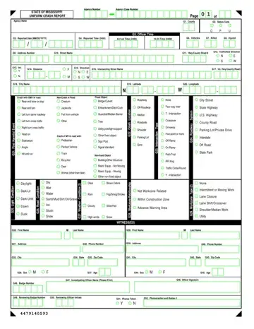Mississippi Accident Report Form Preview