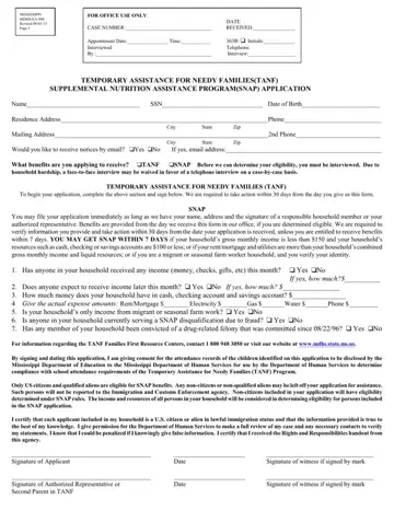 Mississippi SNAP Application Form Preview