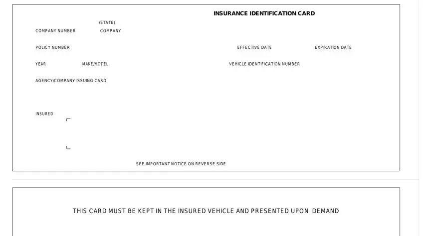stage 1 to filling in  missouri insurance card template
