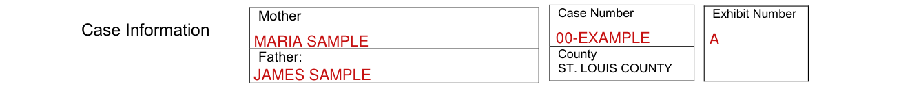 Form CCFC179 example filled out, case Information