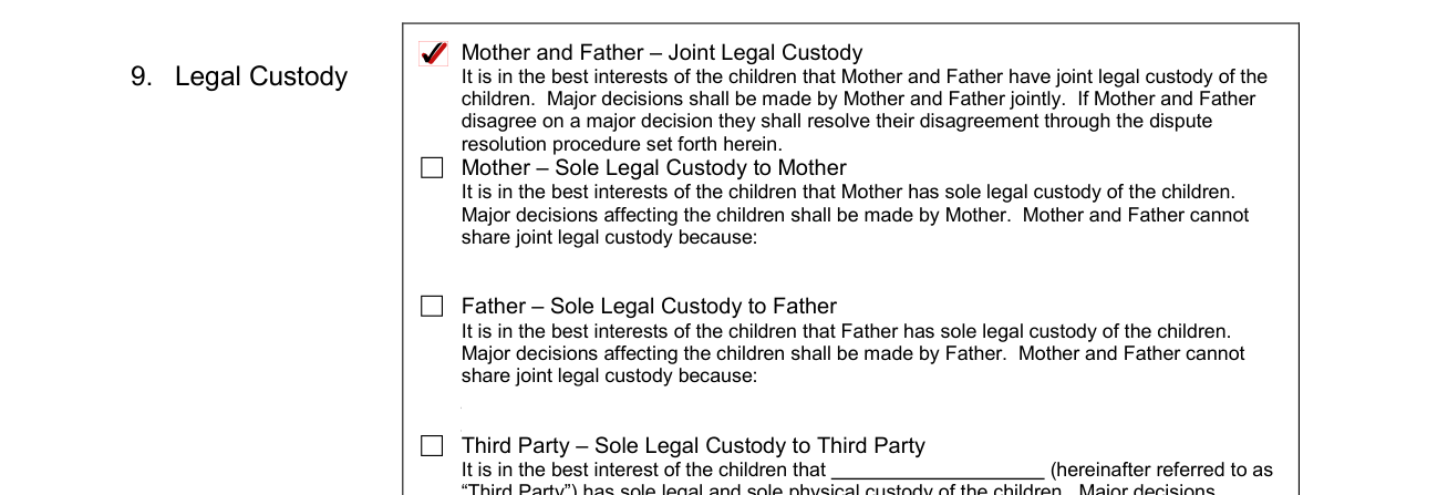 Form CCFC179 example filled out, legal Custody