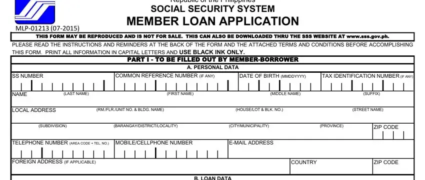 example of gaps in sss online loan application